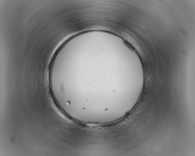 X0000112061092200908251015