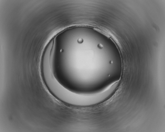 X0000112061093200908251015