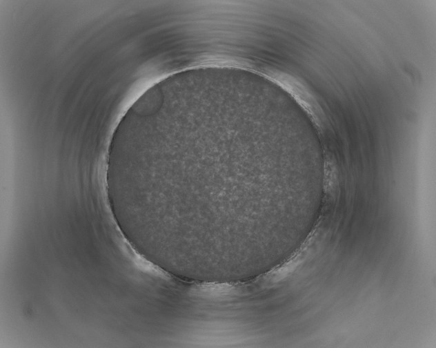 X0000112061094200908251015