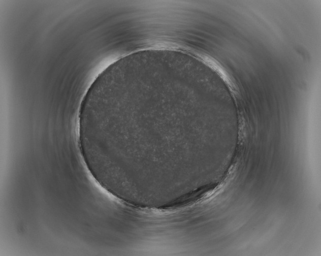 X0000112061095200908251015