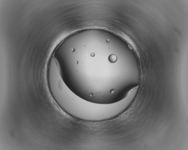 X0000112061096200908251015