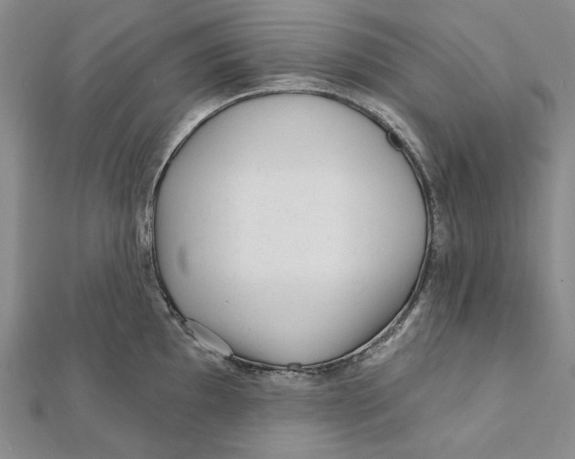 X0000112061097200908251015