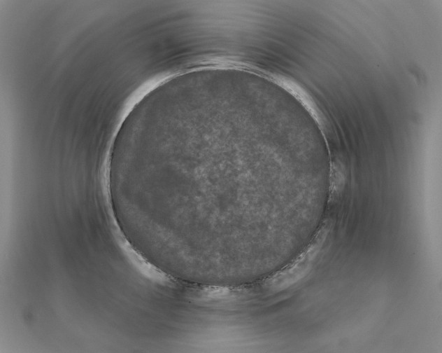 X0000112061098200908251015