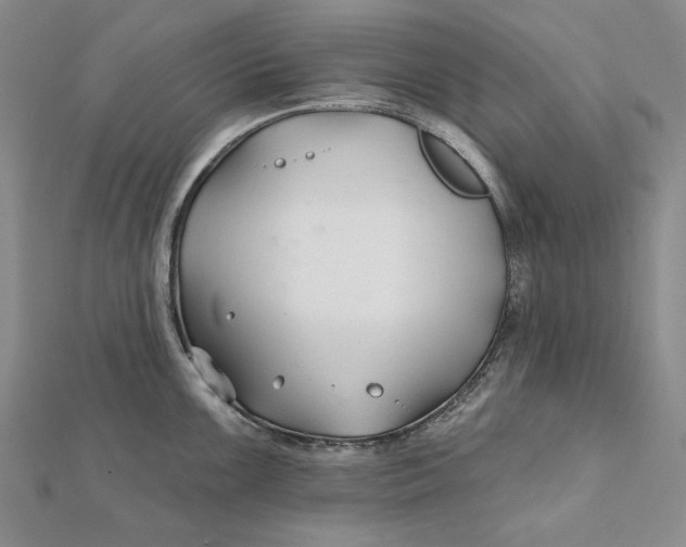 X0000112061099200908251015