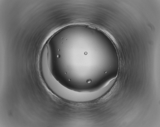 X0000112061101200908251015