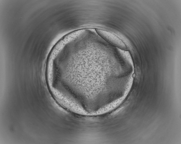 X0000112061102200908251015