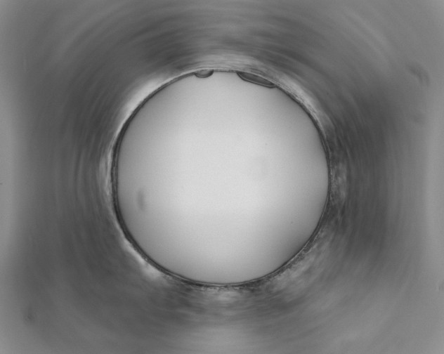 X0000112061103200908251015