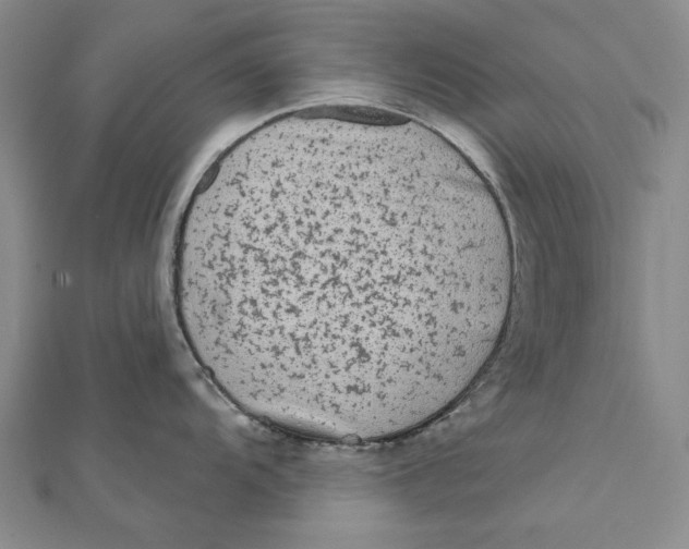 X0000112061104200908251015