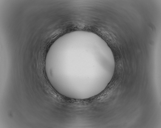 X0000112061105200908251014