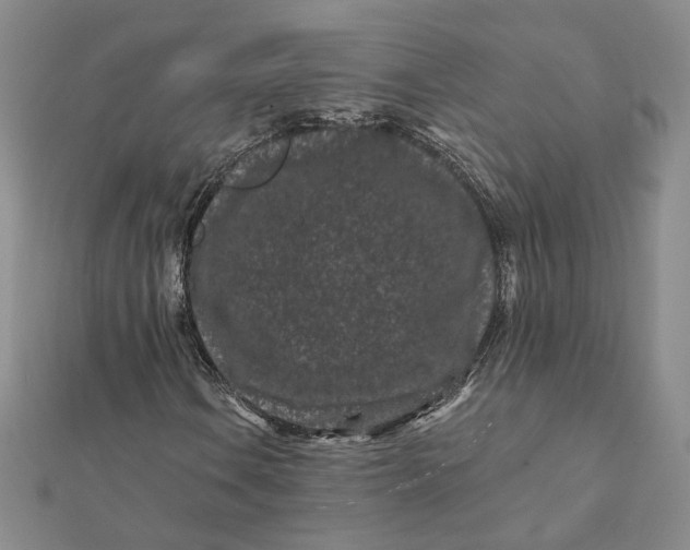 X0000112061106200908251014