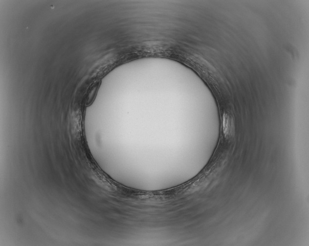 X0000112061107200908251014