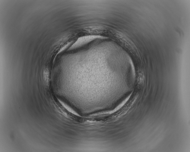 X0000112061108200908251014