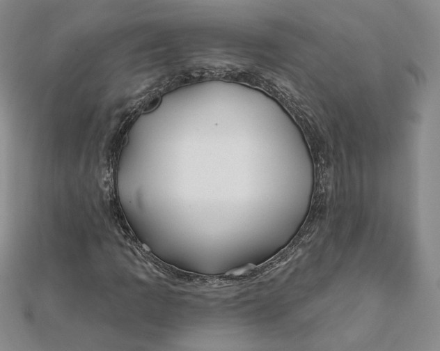 X0000112061109200908251014