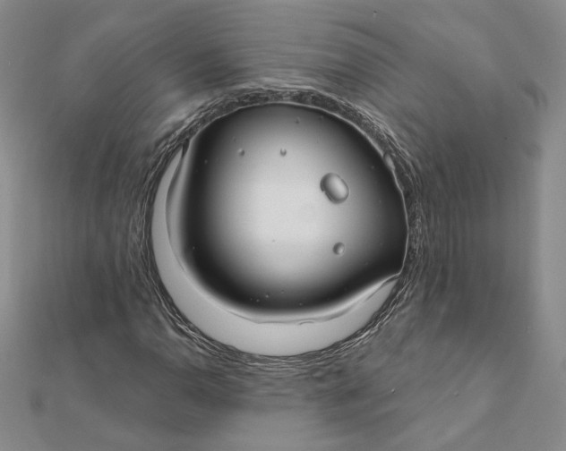 X0000112061110200908251014