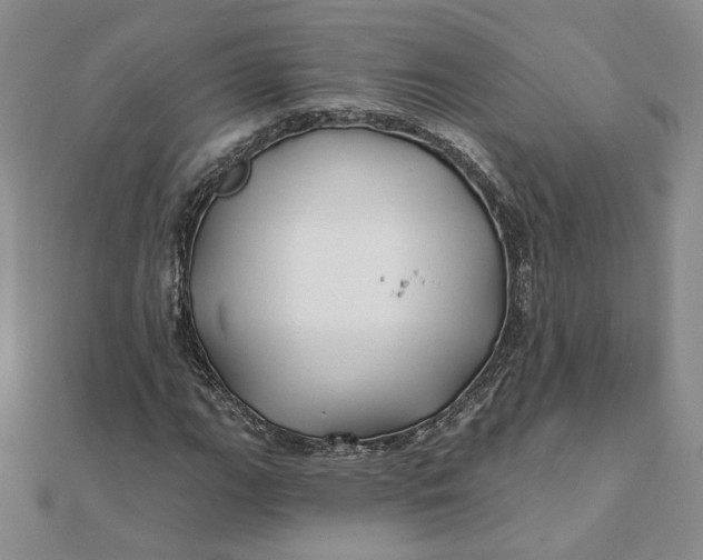 X0000112061111200908251014