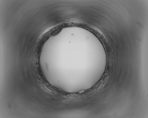 X0000112061112200908251014