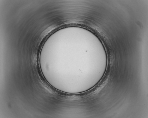 X0000112061113200908251014