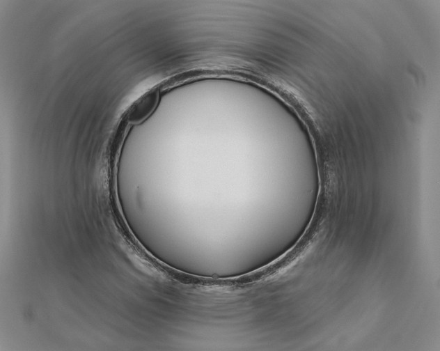 X0000112061114200908251014