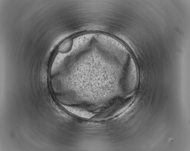 X0000112061115200908251014