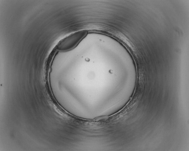 X0000112061116200908251014