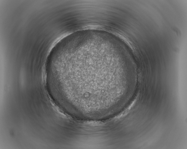 X0000112061117200908251014