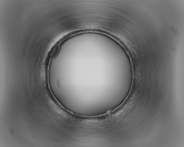 X0000112061118200908251014