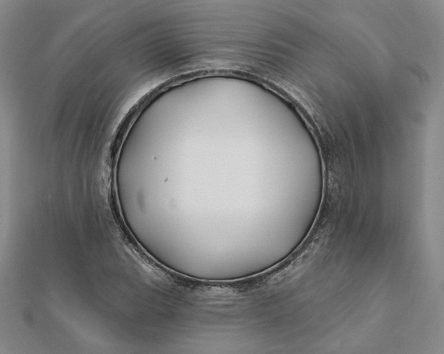 X0000112061119200908251014