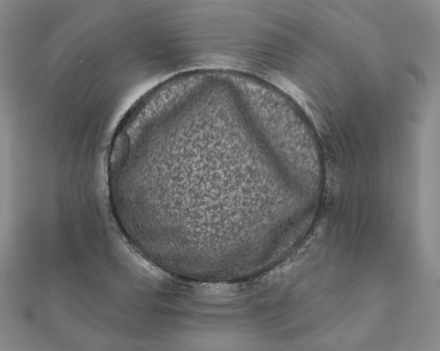 X0000112061120200908251014