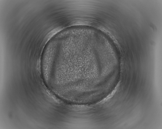 X0000112061121200908251014