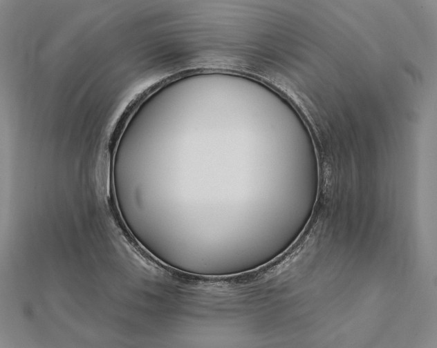 X0000112061123200908251014