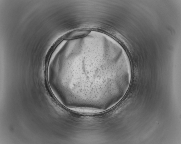 X0000112061124200908251014