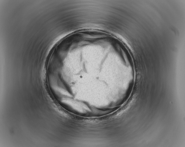 X0000112061125200908251014