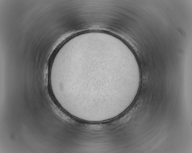 X0000112061126200908251014