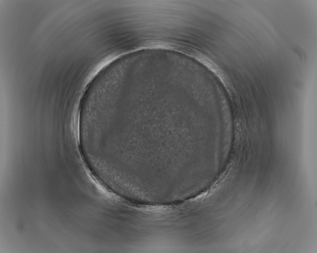 X0000112061127200908251014