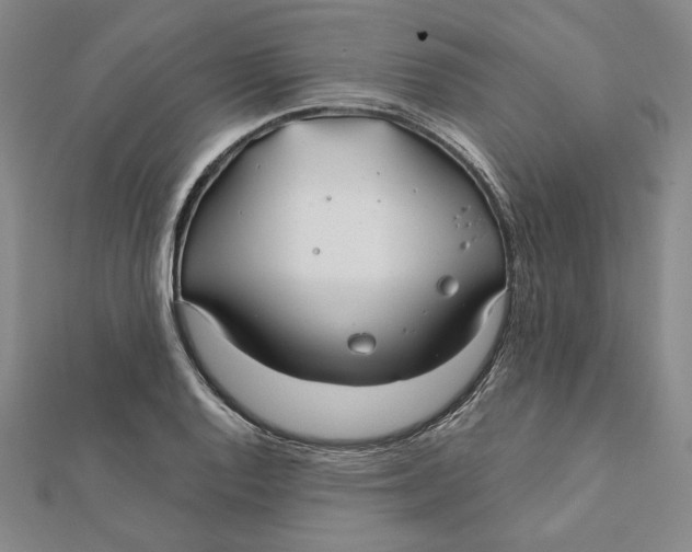 X0000112061128200908251014