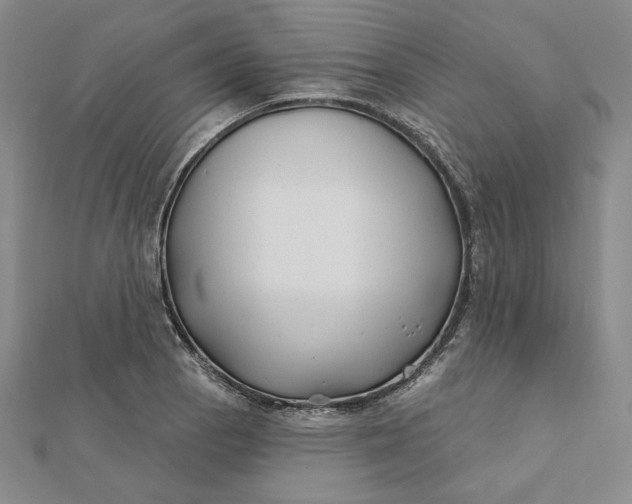 X0000112061129200908251014