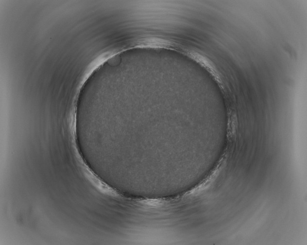 X0000112061130200908251014