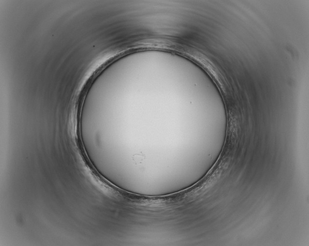 X0000112061131200908251014