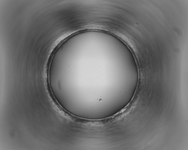 X0000112061133200908251014