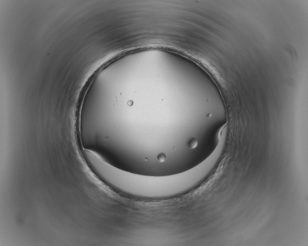 X0000112061134200908251014