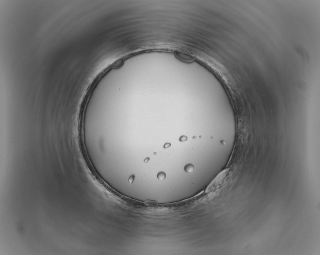 X0000112061135200908251014