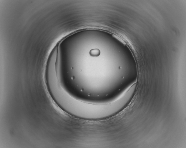 X0000112061136200908251015