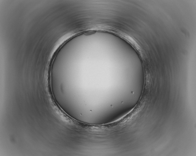 X0000112061138200908251015