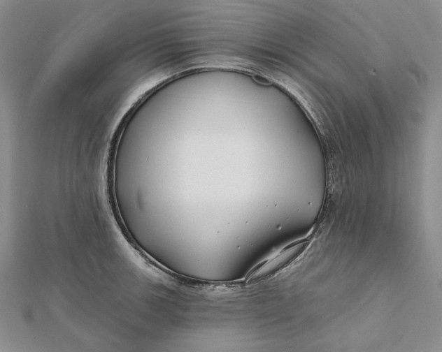 X0000112061139200908251015