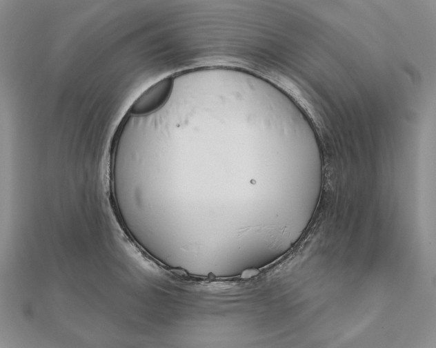 X0000112061140200908251015