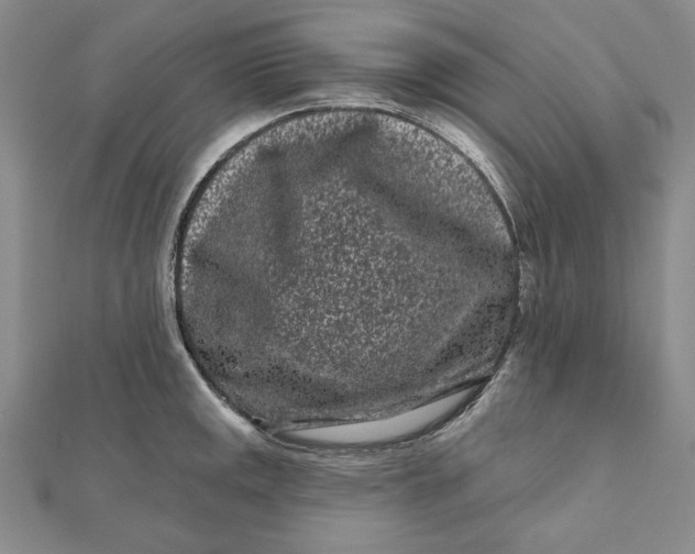 X0000112061141200908251015