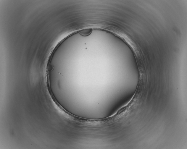 X0000112061143200908251015