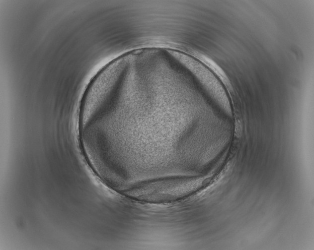 X0000112061144200908251015