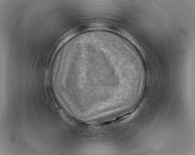 X0000112061145200908251015