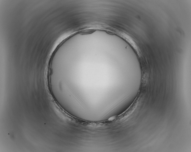 X0000112061146200908251015